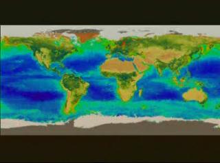 SeaWiFS false color data showing seasonal change in the oceans and on land for the entire globe.  The data is seasonally averaged, and shows the sequence: fall, winter, spring, summer, fall, winter, spring (for the Northern Hemisphere).