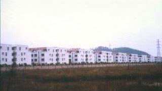 link to multimedia item number 916 entitled 'Ground Photographs from Southern China: Housing in Guangdong Province'. Description is 'Example of the new style of housing in Guangdong Province'