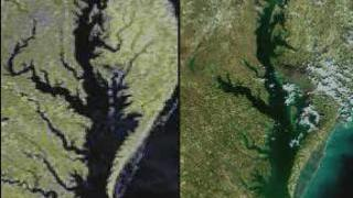 link to multimedia item number 1122 entitled 'A Comparison of MODIS with AVHRR'. Description is 'Looking at the Chesapeake Bay, a side by side comparision of data collected by the AVHRR and MODIS instruments.'