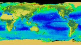 link to multimedia item number 2080 entitled 'SeaWiFS Captures El Niño'. Description is 'The SeaWiFS instrument looks at the world oceans
and land to observe the plant life and phytoplankton. Zooming down
to see the El Niño and La Niña of 1998 to 1999 and how it reacted with
the rest of the world.'