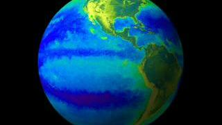 link to multimedia item number 2084 entitled 'SeaWiFS: El Niño on a Globe'. Description is 'The SeaWiFS instrument looks at the world oceans
and land to observe the plant life and phytoplankton, here SeaWiFS
captures the El Niño and La Niña Seasons of 1997 to 2000.'