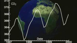 link to multimedia item number 2195 entitled 'SeaWiFS: NASA Carbon Cycle Initiative'. Description is 'SeaWifs 3 year data of the pulse of the planet, helps show the carbon build up in the air.  For this presentation the scientist wanted to show how the earth reacts to the chemicals in the air.'
