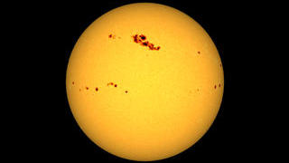 link to multimedia item number 2244 entitled 'SOHO/MDI Views the Sun - 2001'. Description is 'SOHO-MDI views a large sunspot group in 2001.'