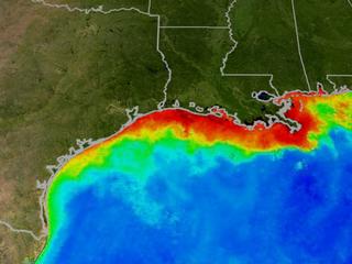 Mississippi Dead Zone [Credit: Scientific Visualization Studio at NASA/Goddard Space Flight Center]
