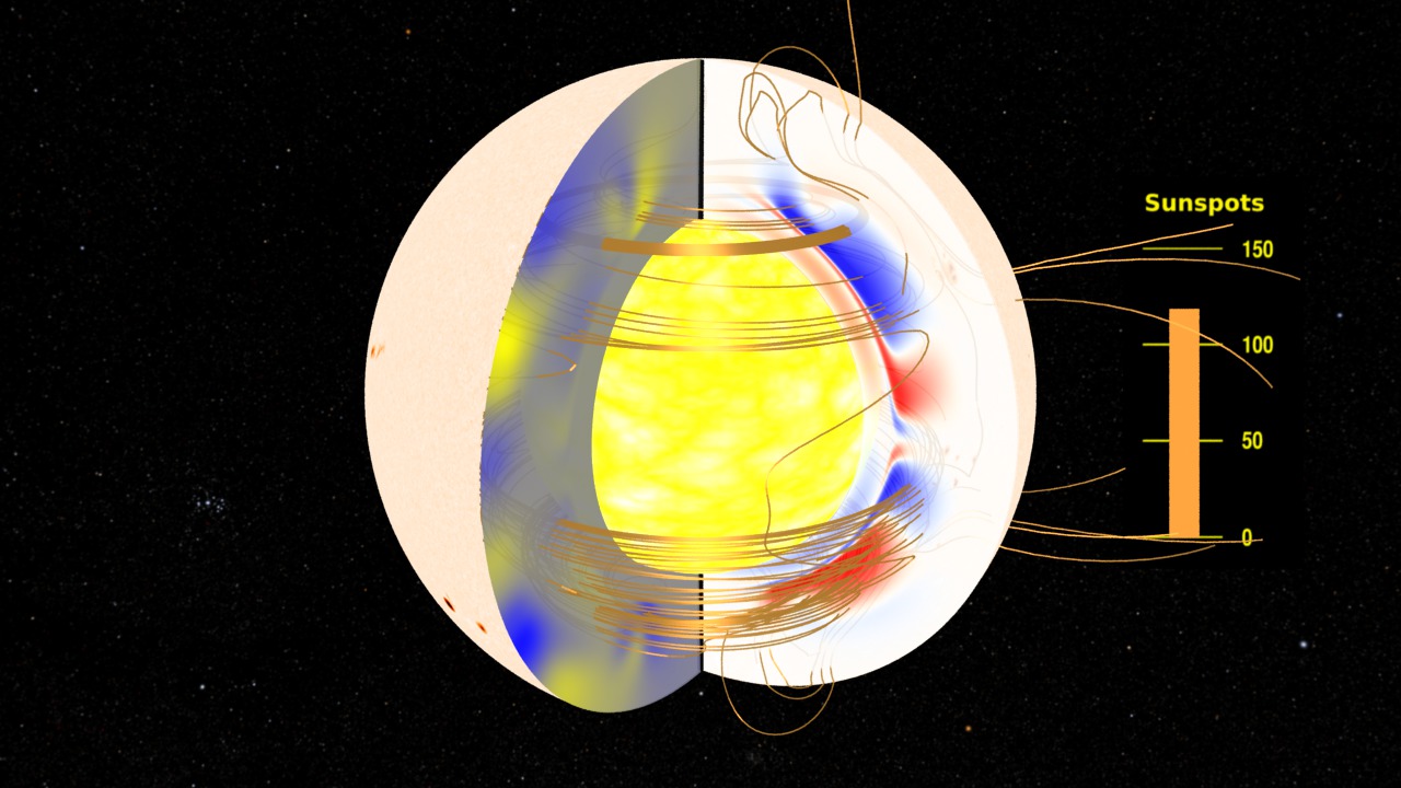 This movie starts with a view of the Sun with sunspots changing as part of the solar cycle. The surface opens to reveal the interior magnetic field structure.