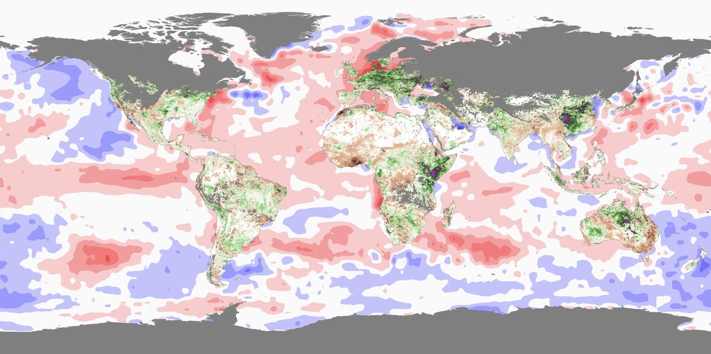 This map shows combined anomalies in Sea-Surface Temperatures(SST)(oceans) and Normalized Difference Vegetation Index (NDVI) (land), observed globally for January 2007. The unusually high Sea Surface Temperatures (red) sustained in the western equatorial Indian Ocean and the central and eastern equatorial Pacific Ocean since the fall of 2006 caused an anomalous growth in vegetation (green-purple), in Eastern Africa due to persistent and heavy rainfall. Above normal rainfall combined with growth in vegetation created ideal ecological conditions for the emergence of mosquitoes that spread Rift Valley fever.