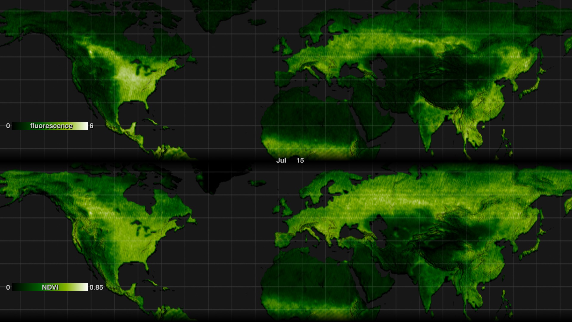 Comparison of fluorescence data (top) to NDVI data (bottom)
