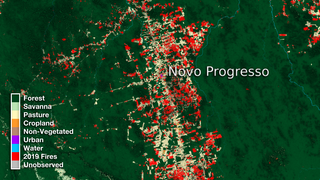 Visualizations of deforestation in the Brazilian area of the Amazonia biome. Data provided by the MapBiomas.org initiative, primarily based on Landsat data from 1985-2018.

The Amazon has undergone major transformations over the span of the Landsat program (since 1972). Working closely with their Brazilian counterparts, and in cooperation with a number of non-governmental organizations, NASA scientists have helped map the entire country of Brazil to show different kinds of land use for every year going back to 1985.