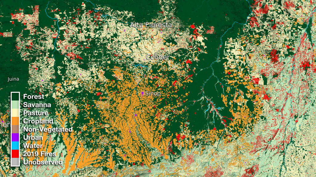 This data visualization begins with a wide view of Northern Brazil. It then zooms down to the region surrounding the town of Colider and compares its relative size to Northern California. Next we cycle through over three decades of land use transformation showing cropland a pasture expansion over time. Lastly, we fade in 2019 fire data to indicate how the data will continue to change into the upcoming year.