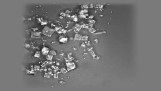 Microscope video of sea salt.