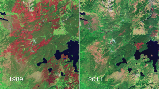 Satellite images show the recovery of Yellowstone National Park following its most intense fire season in history.