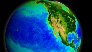 The upwelling of nutrient-rich waters off the coast of California provide phytoplankton with essential minerals, allowing massive blooms to form.