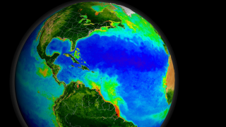 Rivers, such as the Amazon, deposit nutrients from land into South America's tropical ocean waters, leading to thick blooms along the coastline.