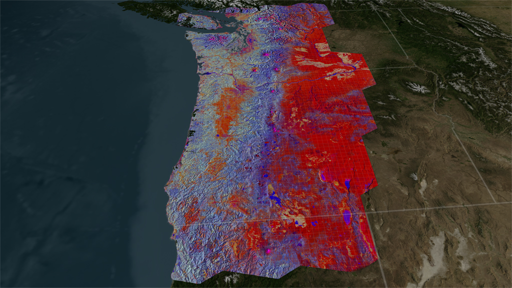 A new method of mapping satellite data reveals the hidden stories of forests in the Pacific Northwest.
