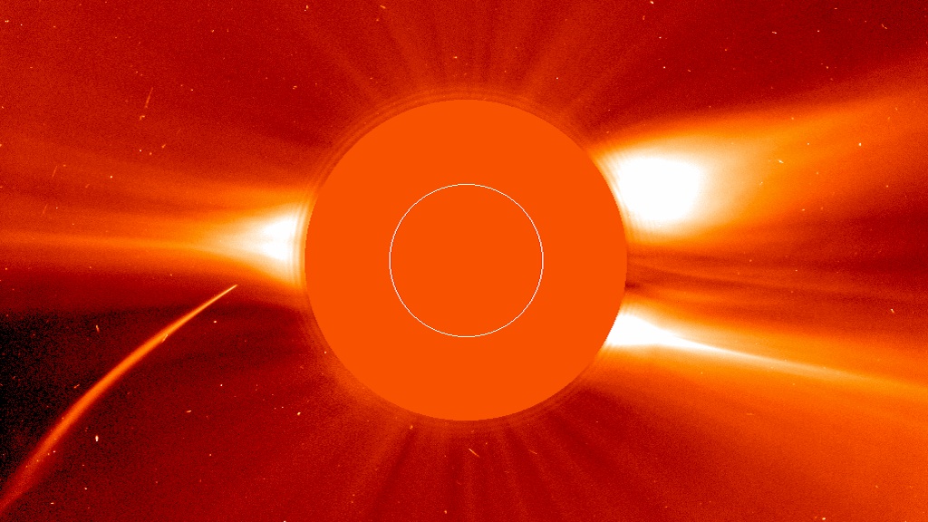 Comets that graze the sun can either evaporate or defy death and multiply.