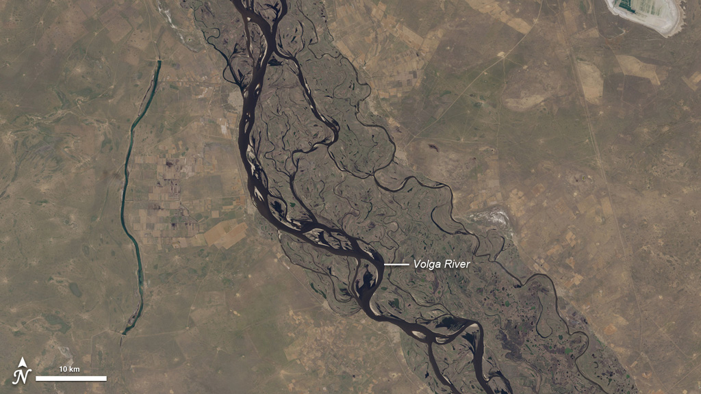 Irregularly shaped fields surround the braided channels of Russia's Volga River, an area with a rich history of agriculture.