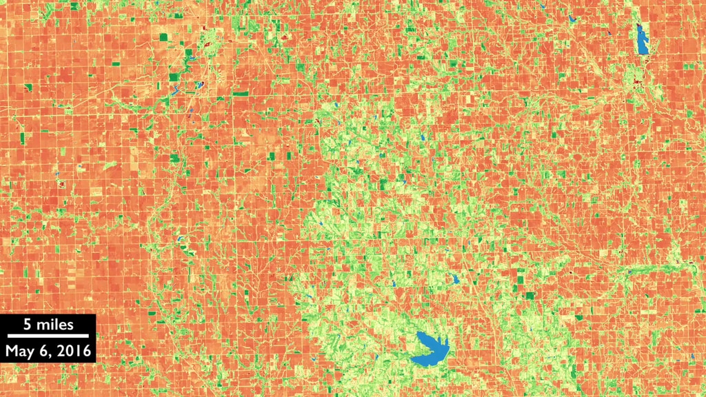 A year of NDVI (Normalized Difference Vegetation Index) data of farm fields in eastern Nebraska. Branched Oak Lake, within Branched Oak State Recreation Area, is at the bottom of the screen. Lake Wanahoo is in the upper right, just north of the city of Wahoo, and the just barely visible Wahoo Municipal Airport is to the right of the lake. David City is in the upper center.In this visualization, red is bare soil and green indicates healthy, growing vegetation. The animation runs from January 1 to December 30, 2016.