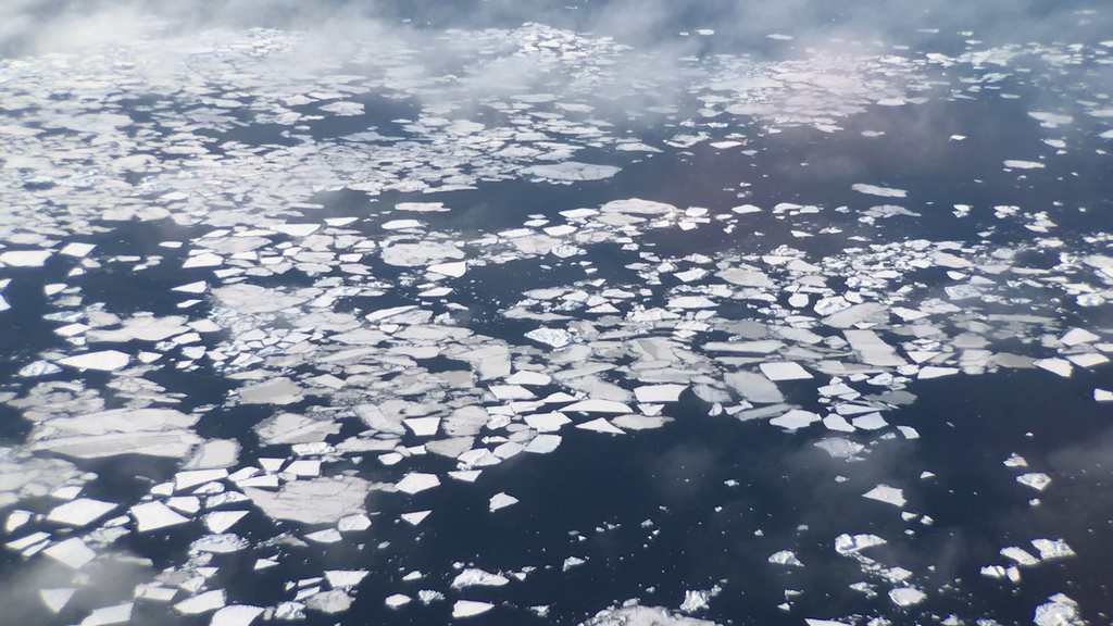 Springtime sea ice off of the coast of the Svalbard archipelago. Filmed during the 2017 Arctic campaign. NOTE: The audio on this clip varies widely and includes loud aircraft noise. We advise turning down/off sound when previewing this item.
