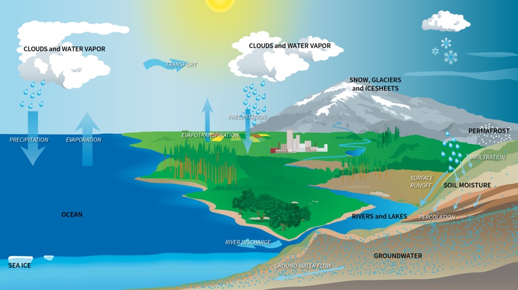 Diagram of the water cycle