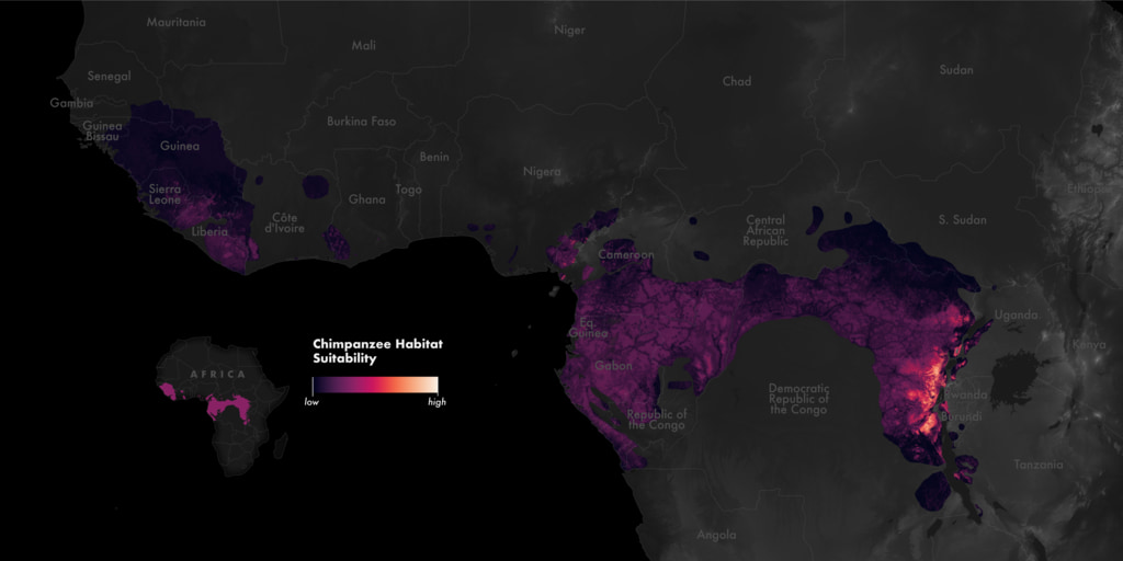 Chimpanzee habitat suitability within the current habitat range at 30m resolution.