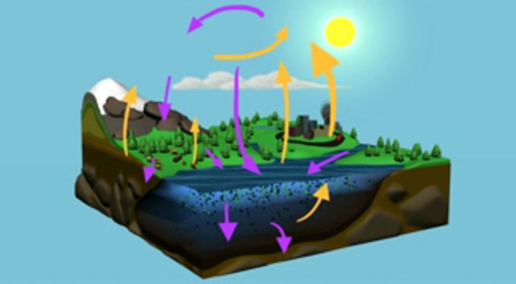 Carbon is the basic building block of life, and these unique atoms are found everywhere on Earth.  Carbon makes up Earth's plants and animals, and is also stored in the ocean, the atmosphere, and the crust of the planet.  A carbon atom could spend millions of years moving through Earth in a complex cycle.  This conceptual animation provides an illustration of the various parts of the Carbon cycle.  Purple arrows indicate the uptake of Carbon; yellow arrows indicate the release of Carbon. 