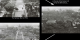 Graphic comparing three images of the U.S. National Mall:   First, as it looked in 1936.   Second, the Mall if it had been reforested at the same rate as the Eastern U.S. during the 2oth century.  Third, the amount of trees lost globally around the world every 15 minutes.