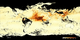 Aerosol optical depth from Terra/MODIS, 1-month composite.  In the maps shown here, dark brown pixels show high aerosol concentrations, while tan pixels show lower concentrations, and light yellow areas show little or no aerosols. Black shows where the sensor could not make its measurement.  Aerosol optical depth is the degree to which aerosols prevent the transmission of light by absorption or scattering of light.