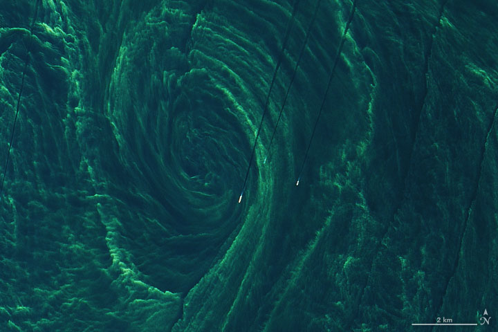 Nearly every summer, colorful blooms of phytoplankton flourish in the Baltic Sea. And nearly every summer, satellite images detect art-like patterns as the phytoplankton trace the sea’s currents, eddies, and flows. But like the whorls of fingerprints, no two phytoplankton blooms are exactly alike.

These natural-color images, acquired on August 15, 2020, with the Operational Land Imager (OLI) on Landsat 8, show a late-summer phytoplankton bloom swirling in the Baltic Sea. The images feature part of a bloom located between Öland and Gotland, two islands off the coast of southeast Sweden. Note the dark, straight lines crossing the detailed image: these are the wakes of ships cutting through the bloom.