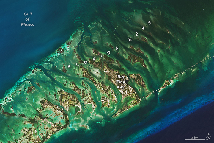 The chain of hundreds of low-lying islands, also called cays or keys, that extend from southern Florida are relics of a time when global sea levels were higher than today. About 125,000 years ago, during a warm interglacial period, water covered the area.