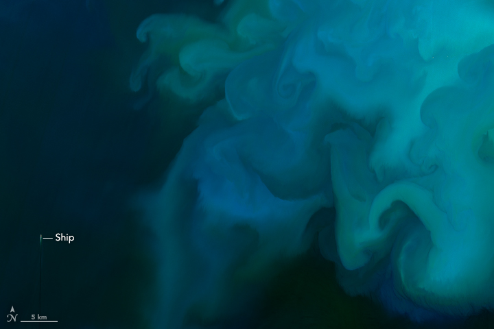 On May 5, 2018, the Operational Land Imager (OLI) on Landsat 8 acquired a natural-color image (top) of a phytoplankton bloom in the North Sea. The next day, the Moderate Resolution Imaging Spectroradiometer (MODIS) instrument on NASA’s Aqua satellite observed the same bloom in a wider context. Five days earlier, MODIS detected visible plumes of sediment moving through the area to the west.

The milkier, lighter-colored waters are probably filled with coccolithophores, while greener areas may be diatoms. (It is impossible to know for sure without direct water samples.) The brightness of the color may reflect the density of the phytoplankton, while the various swirls and shapes trace the intricate movements of currents, eddies, and tides.