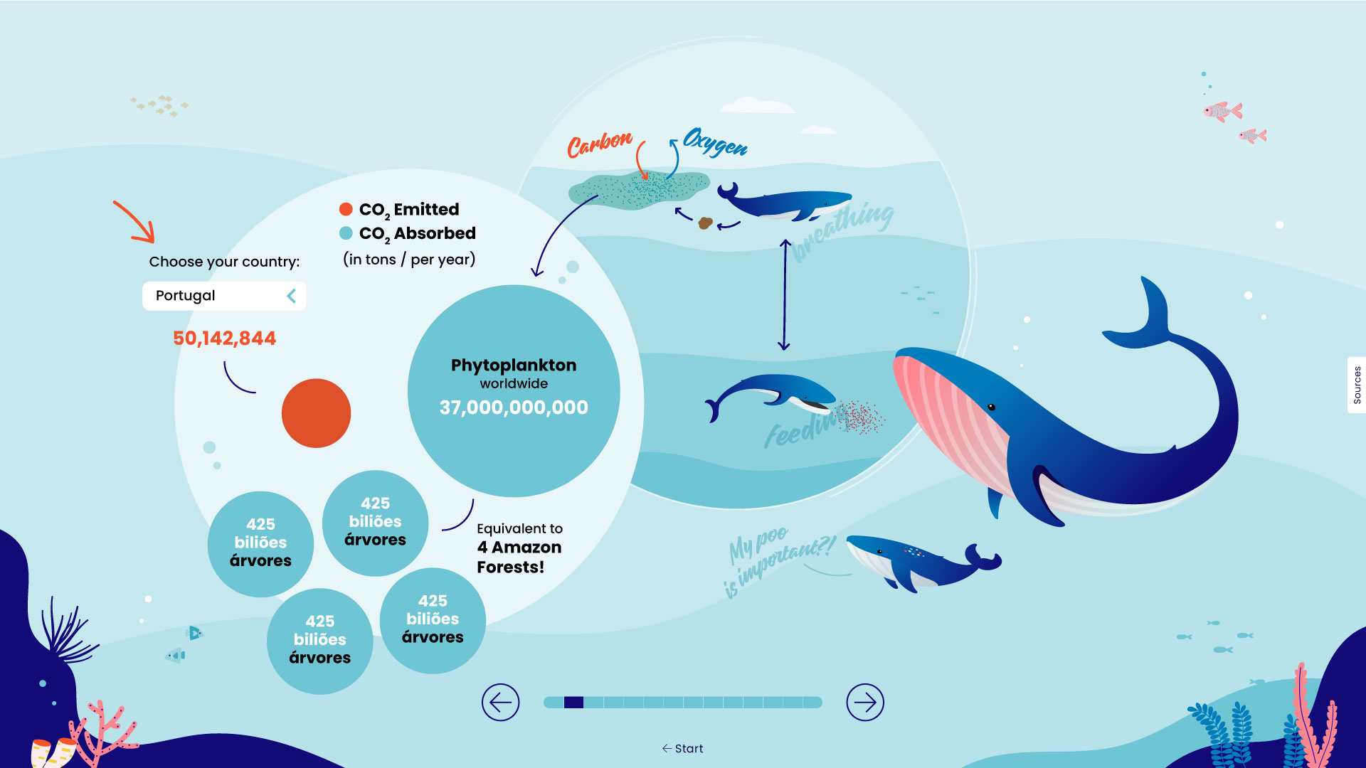 A screenshot from
							'Finding Arcadia'. At the left, there are some colorful whales and graphics depicting the byproducts of a whale feeding on plankton. At the right,
							there are bubbles showing the impact that phytoplankton have on absorbing CO2 from the atmosphere