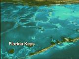 Florida Keys Image