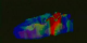 Surfaces of constant precipitation density colored by ground rainfall amounts for a storm over Houston on February 10, 1998, as measured by TRMM.  The intense precipitation front in clearly visible in red.
