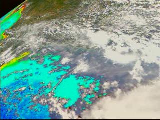 SeaWiFS false color (chlorophyll-phytoplankton levels) ocean and true color land of Charleston for 36 dates from September 15, 1997 to August 2, 1998