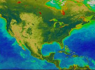 SeaWiFS false color data showing seasonal change in the oceans and on land for North America.  The data is seasonally averaged, and shows fall, winter, spring, summer, fall, winter, and spring.