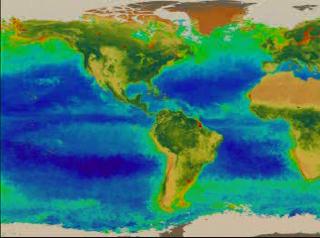 SeaWiFS false color data showing seasonal change in the oceans and on land for the Western Hemisphere.  The data is seasonally averaged, and shows the sequence: fall, winter, spring, summer, fall, winter, spring, summer (for the Northern Hemisphere).