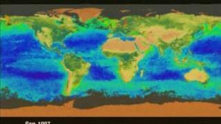 Link to Recent Story entitled: SeaWiFS Biosphere: Whole Earth