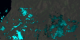 Correlated water droplet size and fires over northern Borneo on March 1, 1998