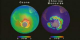 Side-by-side globes showing MLS measurements of ozone and chlorine monoxide over Antartica from 8-12-93 to 9-17-93.