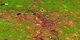 Landsat TM542 imagery of Atlanta, Georgia