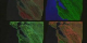 A 4-way split screen flyover of San Francisco bay using different band combinations of Landsat imagery, ending with NDVI data