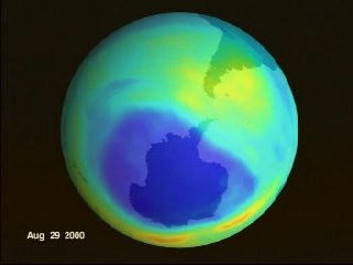 Ozone over Antarctica from August 1, 2000 to September 6, 2000 as measured by Earth Probe TOMS