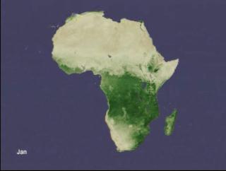 Seasonal NDVI for Africa.
