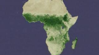 Monthly NDVI for Africa over 20 years.