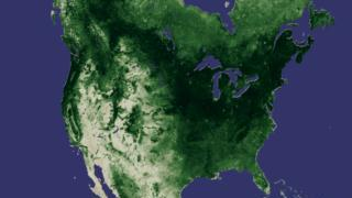 North America NDVI for July, 2000.