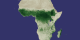Africa NDVI Average August