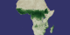 Africa NDVI 1984 August