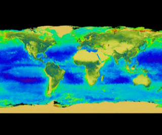 The SeaWiFS instrument looks at the world oceans
and land to observe the plant life and phytoplankton. Zooming down
to the North Atlantic one can see the North Atlantic Bloom (in bright
green) this shows an flowing upwelling.