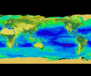 Looking into the Central American fishing season, in this flat projection you
can see the Latin America and yellow plumes of life.