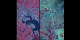 This visualization shows a side by side comparision of the ASTER image and the city structure image of both
Baltimore (left) and Phoenix (right). This helps scientist and city planners to monitor the city growth.